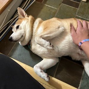 Meet your Posher, Yuki